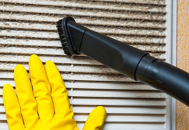 Best Affordable Air Duct Cleaning  in East Bethel, MN